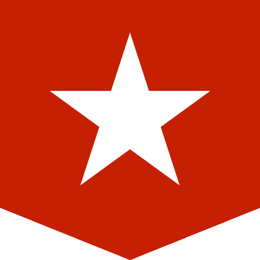 Team Flag